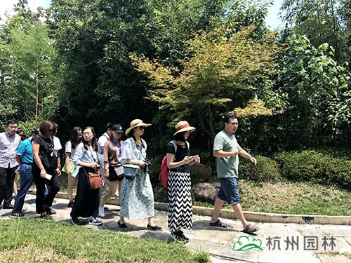 亚洲精品白浆高清久久久久久