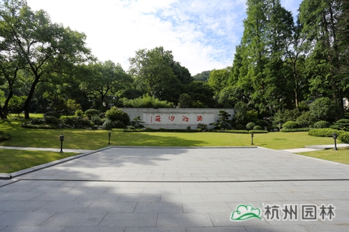 亚洲精品白浆高清久久久久久