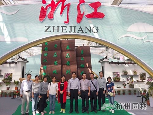 亚洲精品白浆高清久久久久久