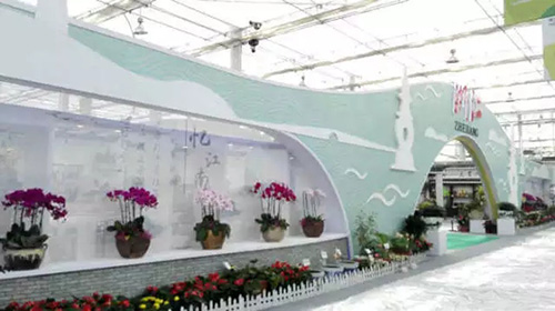 亚洲精品白浆高清久久久久久