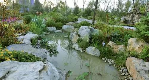 亚洲精品白浆高清久久久久久