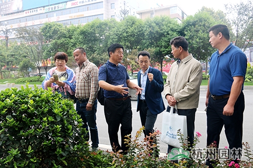 亚洲精品白浆高清久久久久久