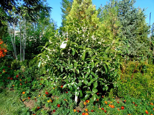 亚洲精品白浆高清久久久久久