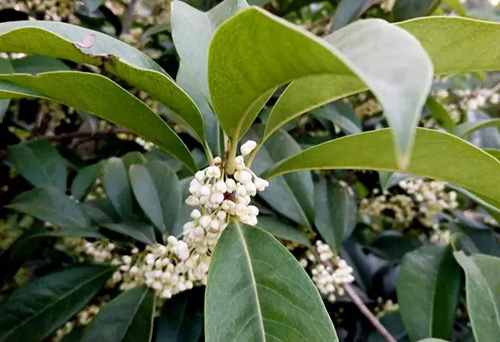 亚洲精品白浆高清久久久久久