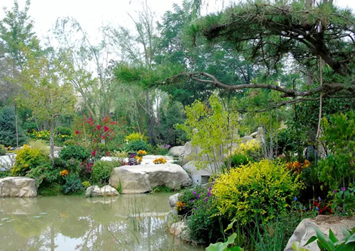 亚洲精品白浆高清久久久久久