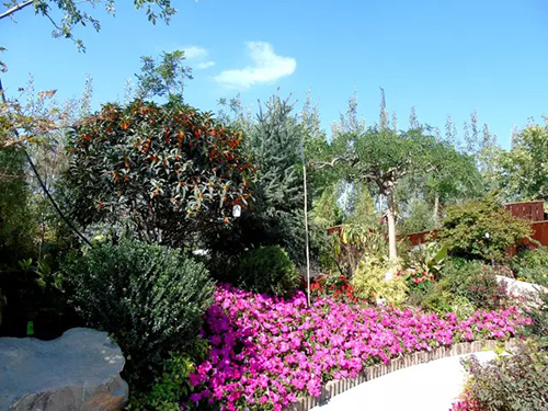 亚洲精品白浆高清久久久久久