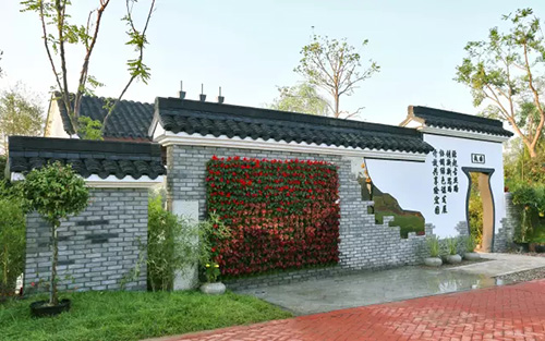 亚洲精品白浆高清久久久久久