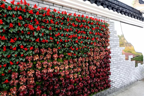 亚洲精品白浆高清久久久久久