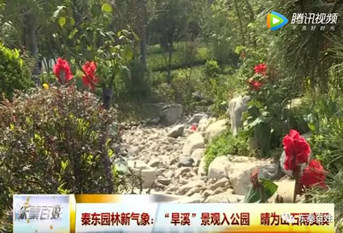 亚洲精品白浆高清久久久久久