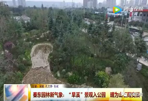 亚洲精品白浆高清久久久久久