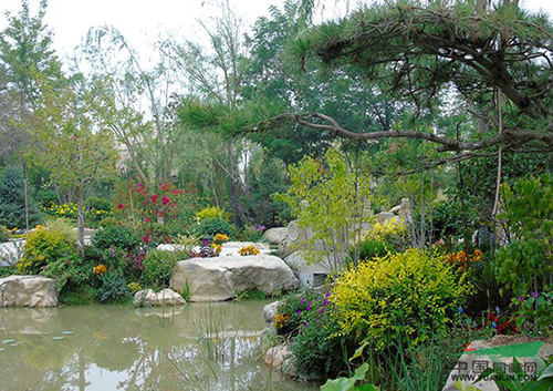 亚洲精品白浆高清久久久久久