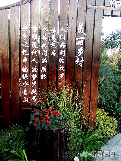 亚洲精品白浆高清久久久久久