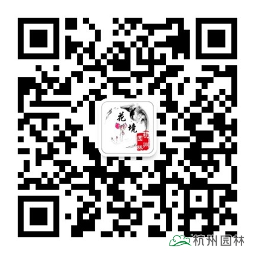 亚洲精品白浆高清久久久久久