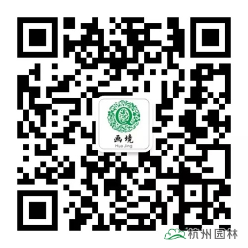 亚洲精品白浆高清久久久久久