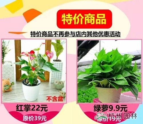 亚洲精品白浆高清久久久久久