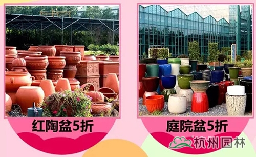 亚洲精品白浆高清久久久久久