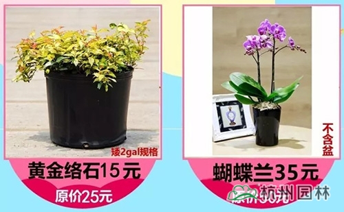 亚洲精品白浆高清久久久久久