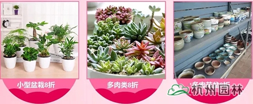 亚洲精品白浆高清久久久久久