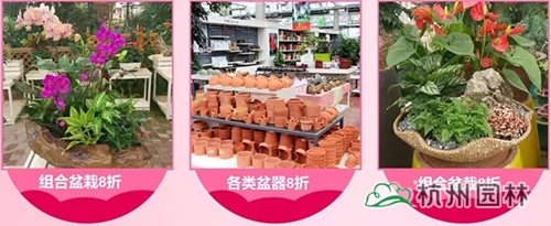 亚洲精品白浆高清久久久久久