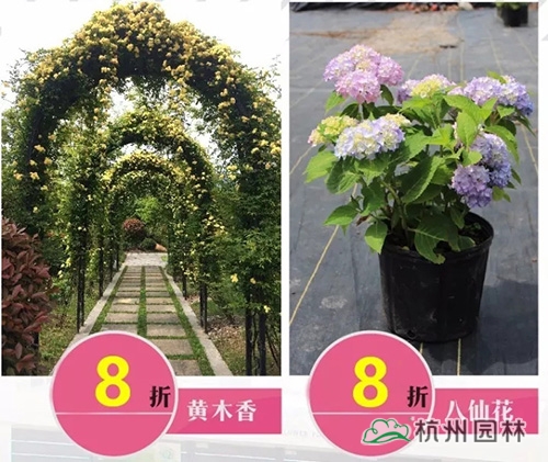 亚洲精品白浆高清久久久久久