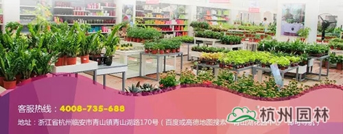 亚洲精品白浆高清久久久久久