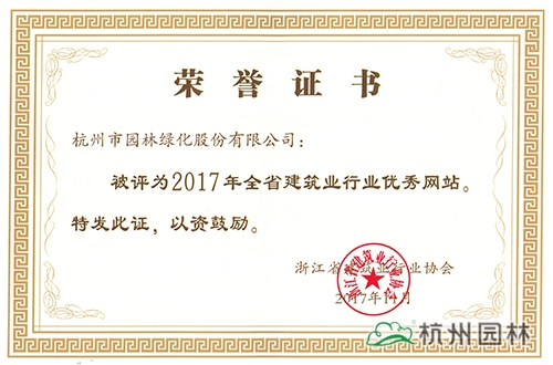 亚洲精品白浆高清久久久久久