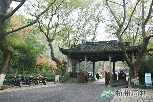 亚洲精品白浆高清久久久久久