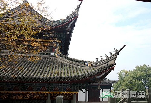 亚洲精品白浆高清久久久久久