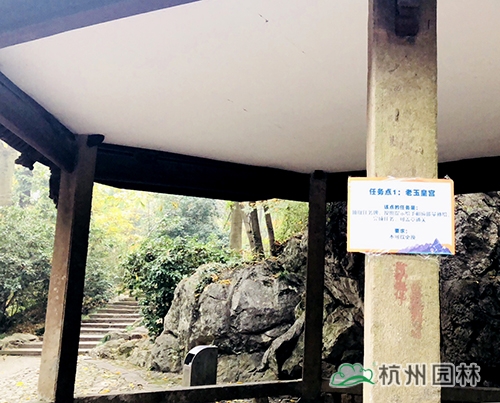 亚洲精品白浆高清久久久久久