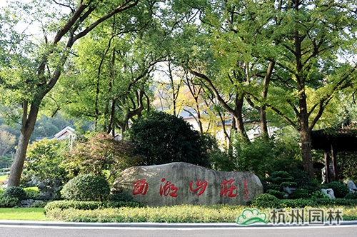 亚洲精品白浆高清久久久久久