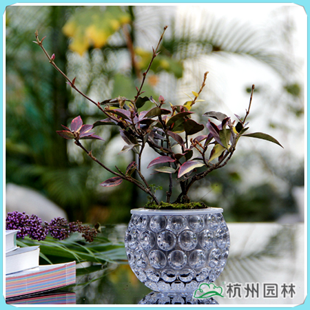 亚洲精品白浆高清久久久久久