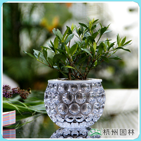 亚洲精品白浆高清久久久久久