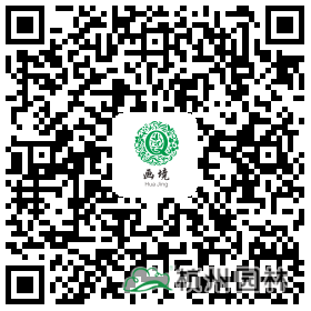 亚洲精品白浆高清久久久久久