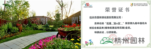 亚洲精品白浆高清久久久久久