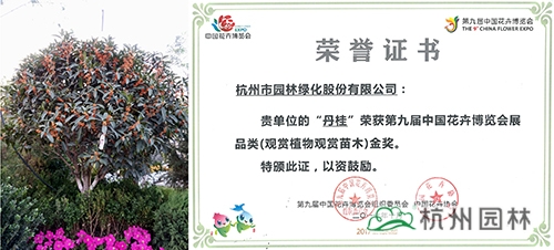 亚洲精品白浆高清久久久久久