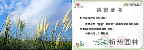 亚洲精品白浆高清久久久久久