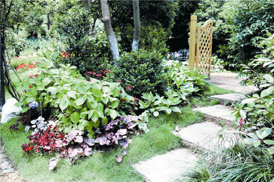 亚洲精品白浆高清久久久久久