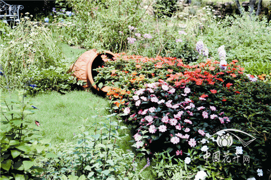 亚洲精品白浆高清久久久久久