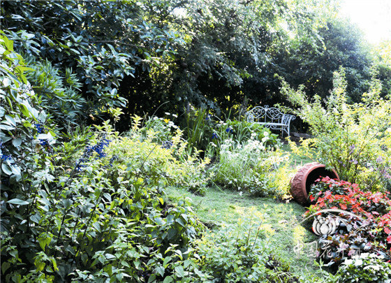 亚洲精品白浆高清久久久久久