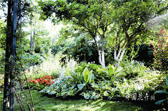 亚洲精品白浆高清久久久久久