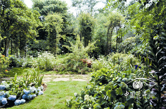 亚洲精品白浆高清久久久久久