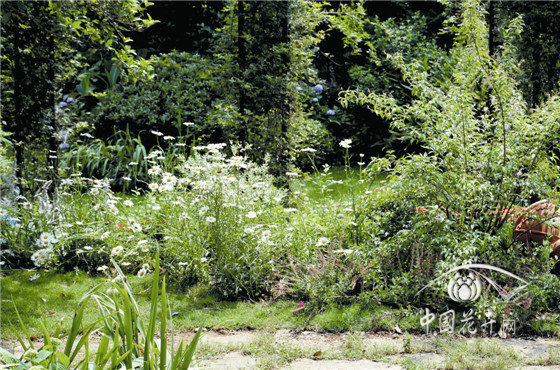 亚洲精品白浆高清久久久久久