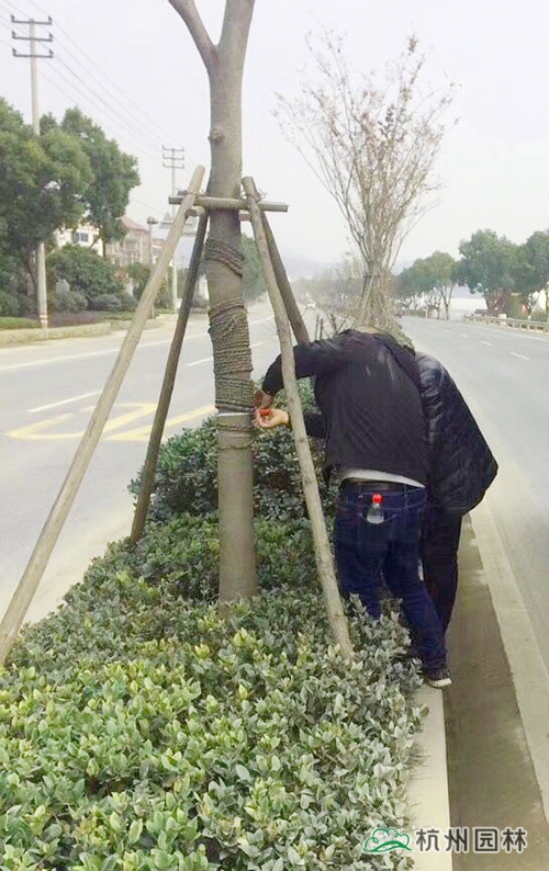 亚洲精品白浆高清久久久久久