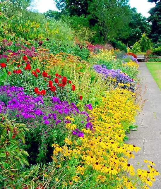 亚洲精品白浆高清久久久久久