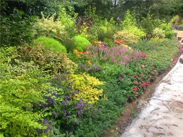 亚洲精品白浆高清久久久久久