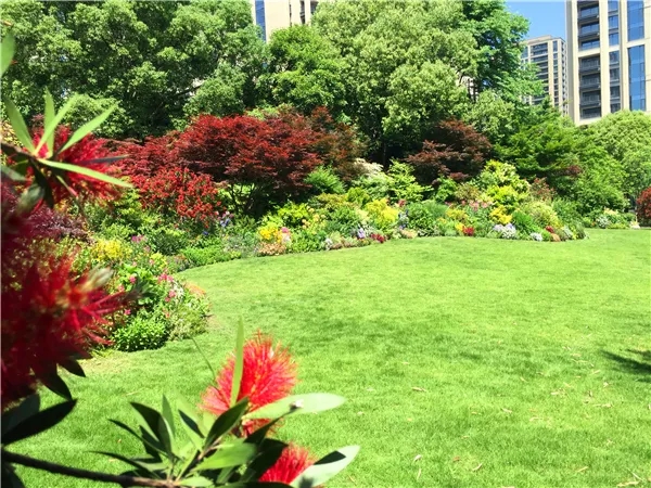 亚洲精品白浆高清久久久久久