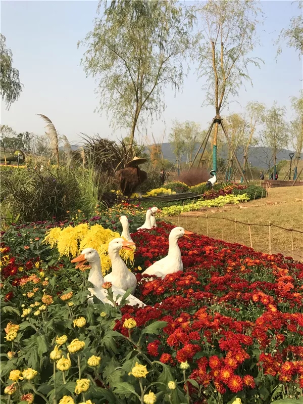 亚洲精品白浆高清久久久久久