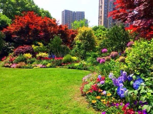 亚洲精品白浆高清久久久久久