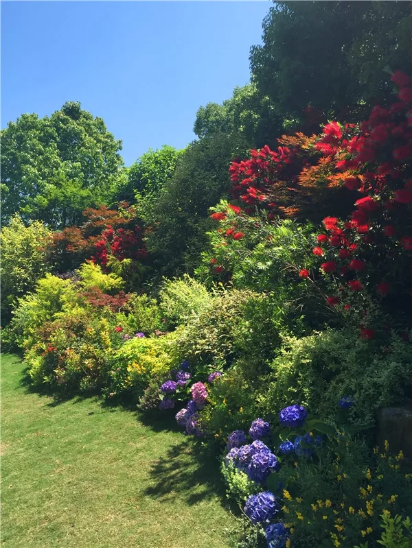 亚洲精品白浆高清久久久久久