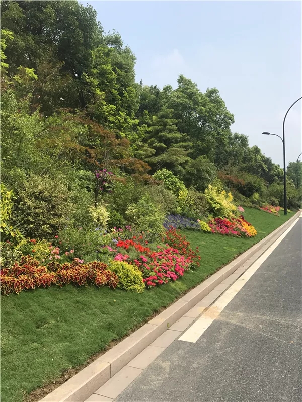 亚洲精品白浆高清久久久久久